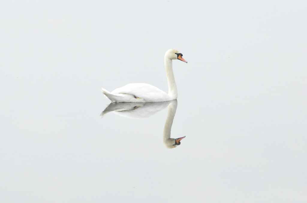 Improving your (grief)&nbsp;self-talk